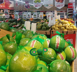 Giới thiệu sản phẩm Bưởi da xanh Bến Tre