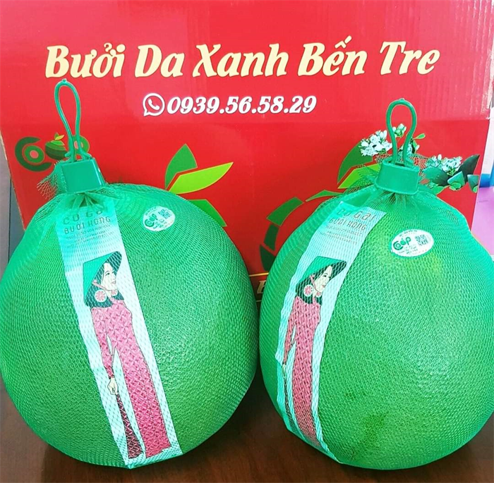 Thông báo về việc Quản lý điều hành HTX nghỉ việc. 