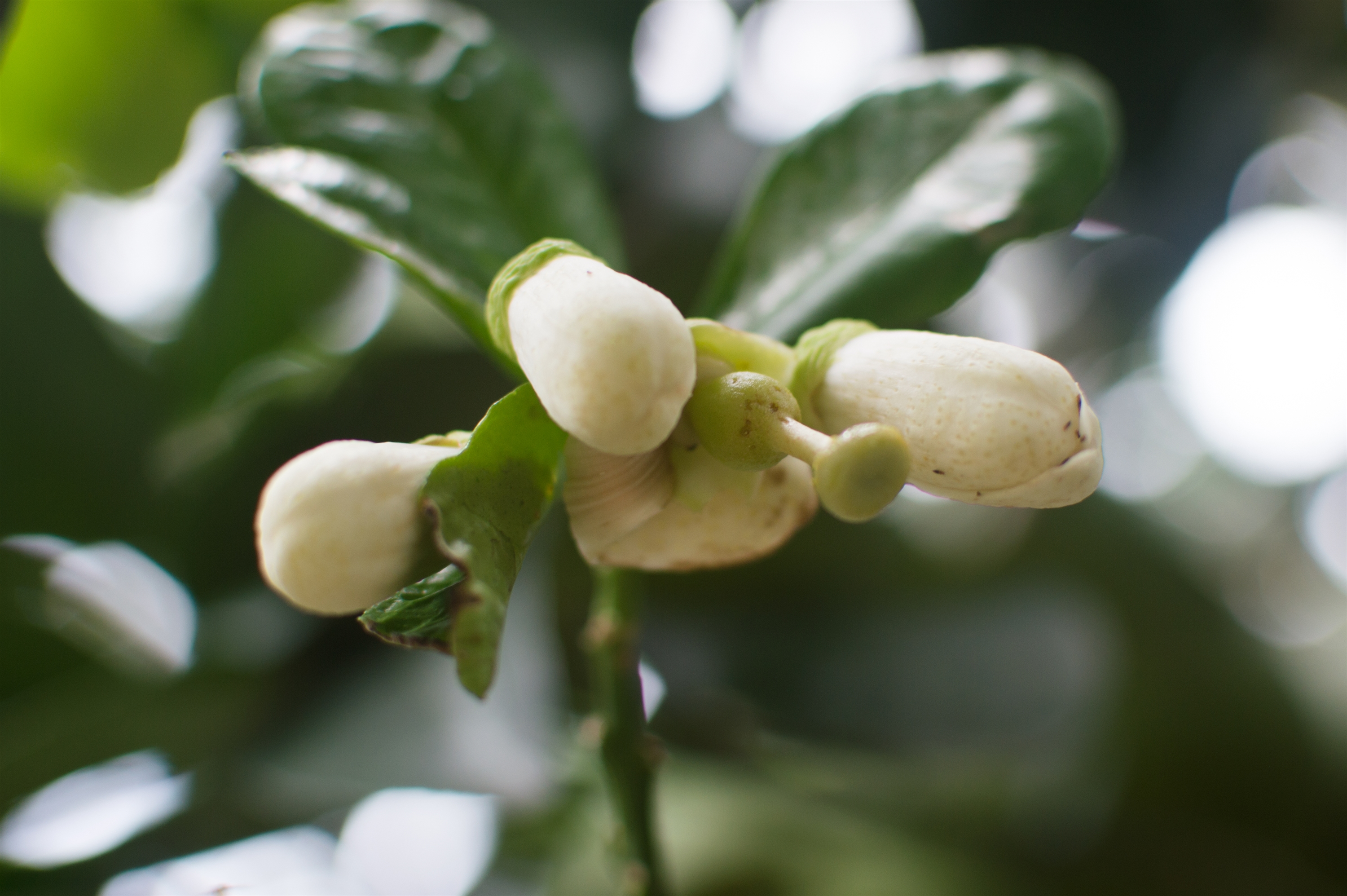 Ngày môi trường thế giới- ngày 05 tháng 06