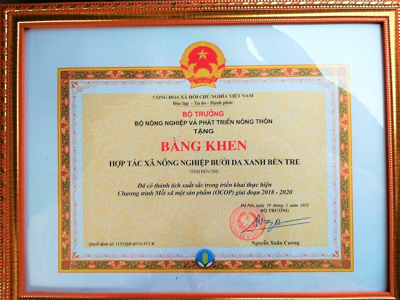 Hợp tác xã bưởi da xanh Bến Tre nhận bằng khen từ Bộ NN&PTNT vì thành tích xuất sắc trong triển khai thực hiện OCOP