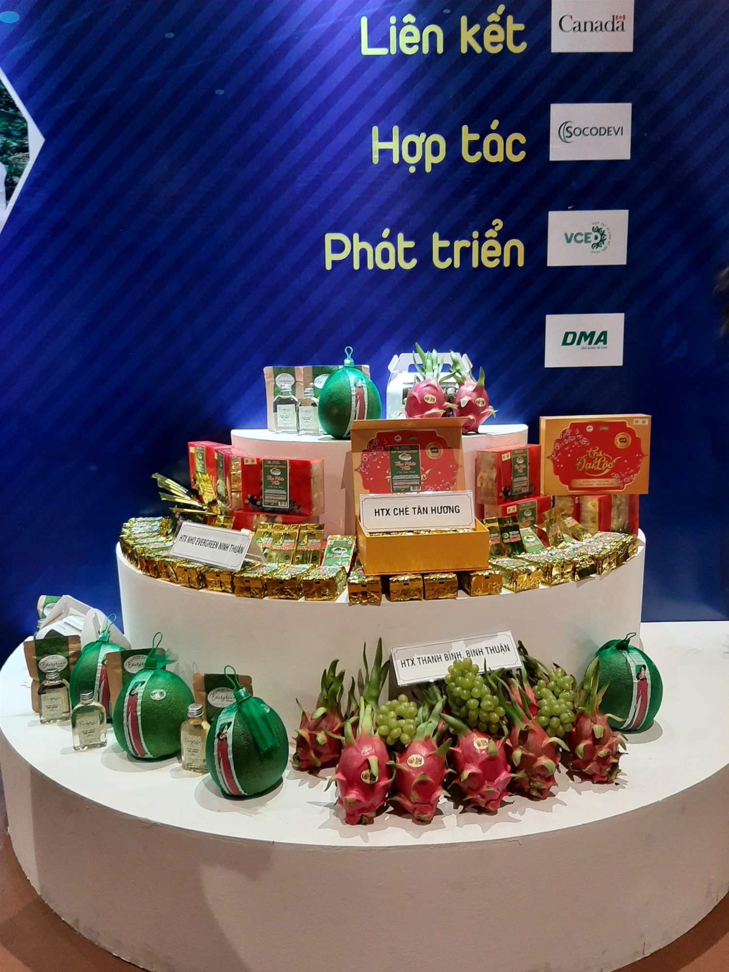 Hợp tác xã Bưởi da xanh Bến Tre tham dự “Diễn Đàn Kinh Tế Hợp Tác, Hợp Tác Xã Năm 2020” 