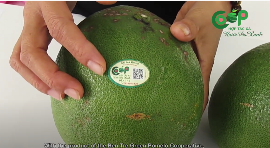 Cách chọn bưởi ngon