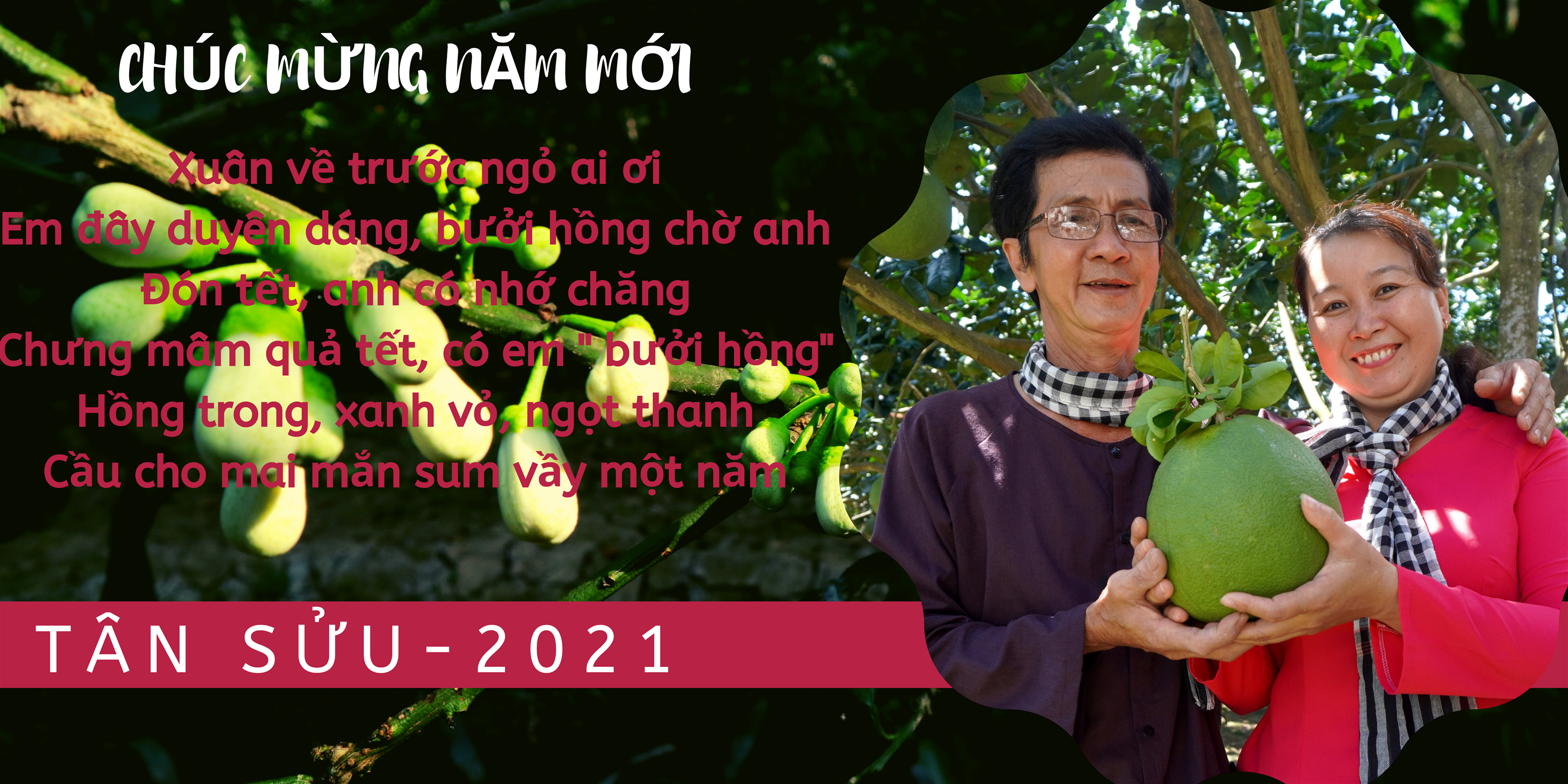 Mẹ ơi mua bưởi da xanh