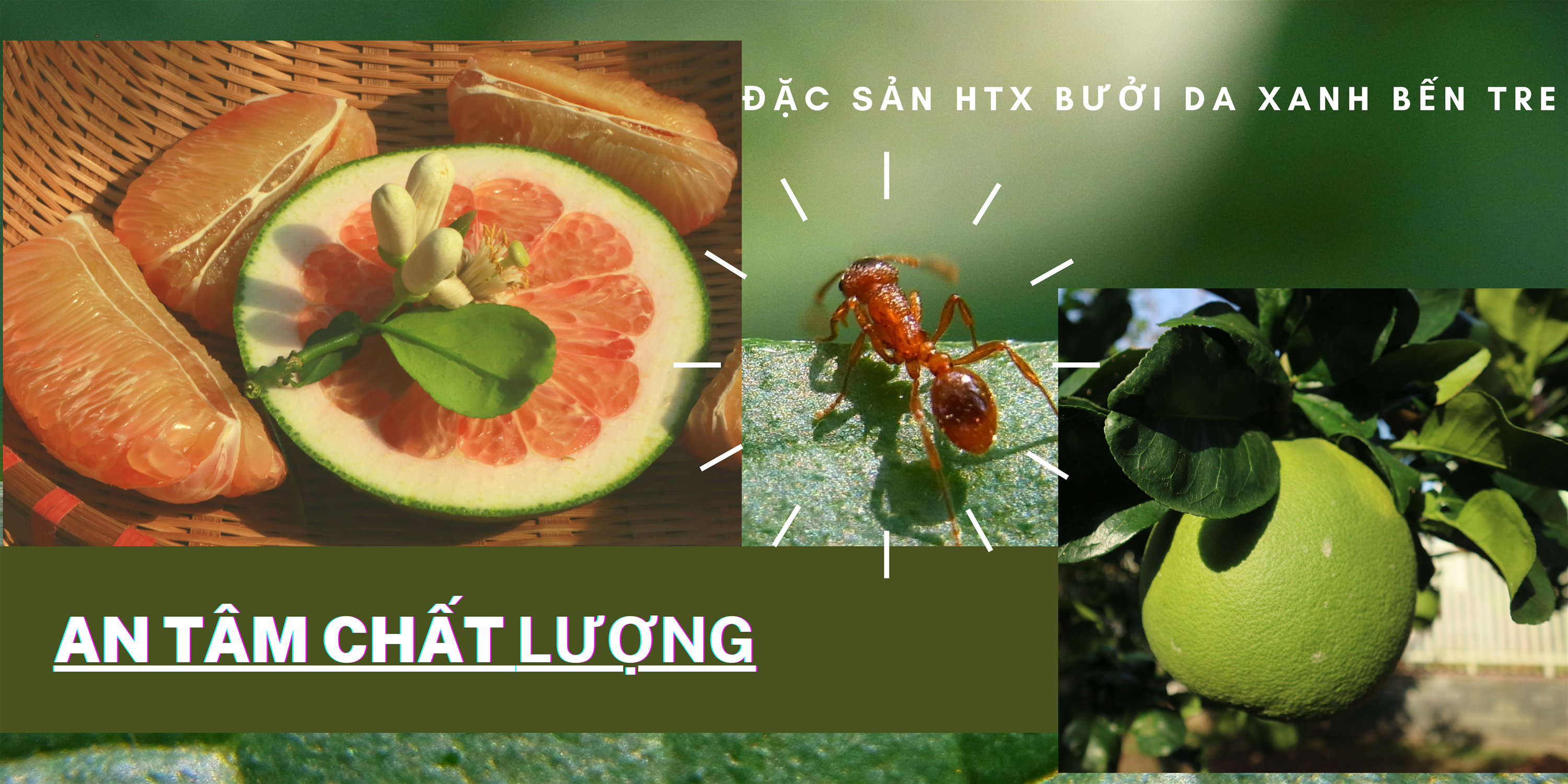 An tâm cho khách hàng