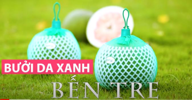 Giới thiệu hợp tác xã Bưởi Da Xanh Bến Tre