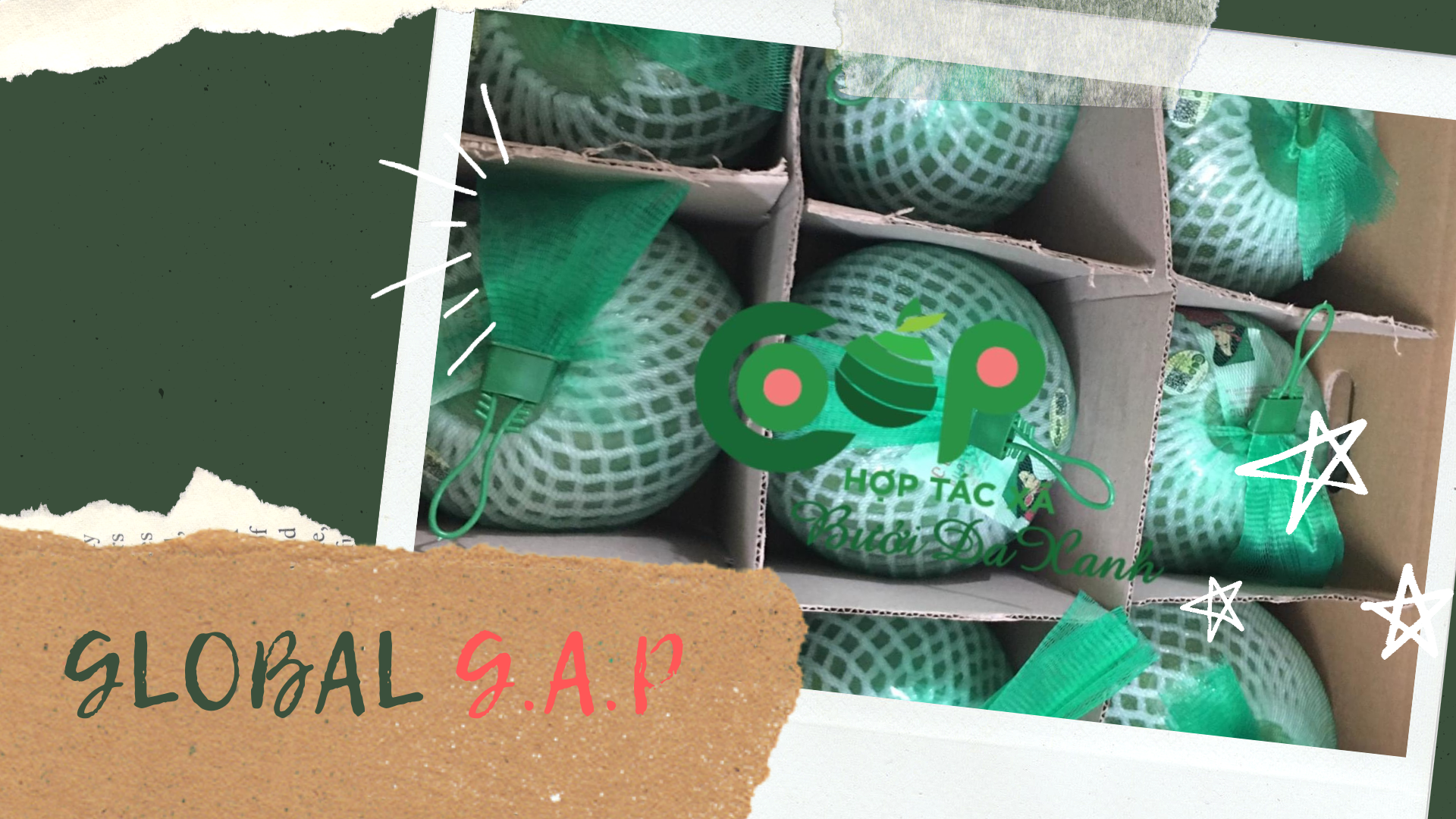 Đẩy mạnh định hướng thị trường cho nông sản Việt Nam 