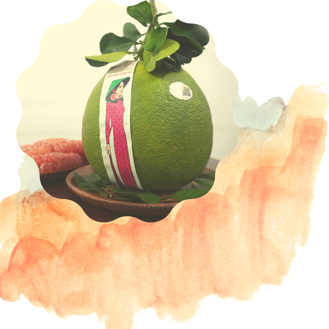 Cách chọn trái bưởi ngon 