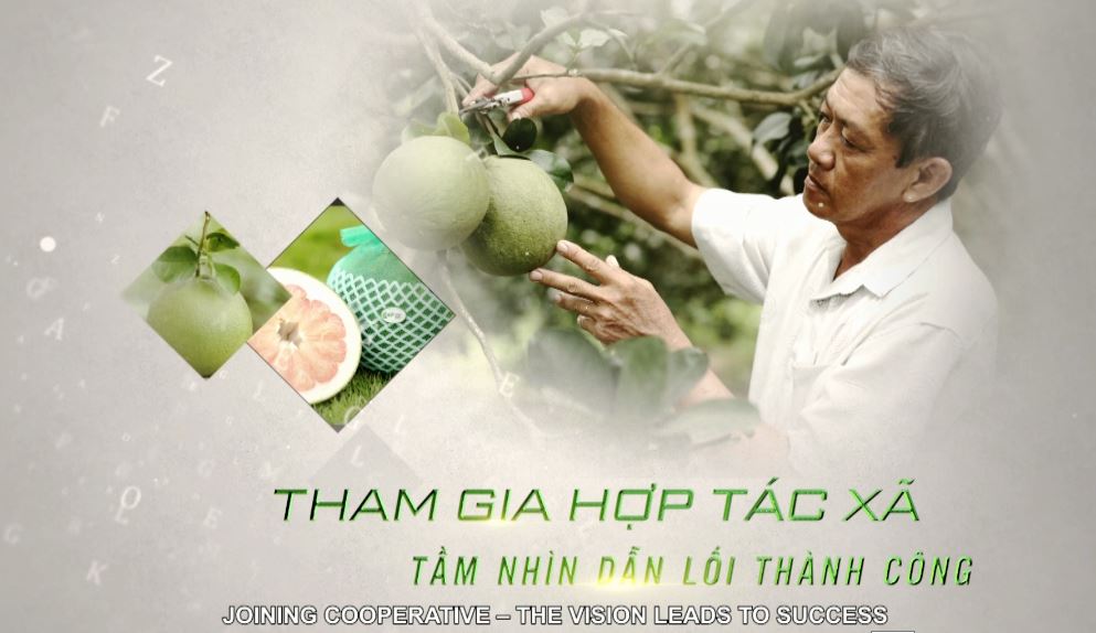 Câu chuyện thành công 